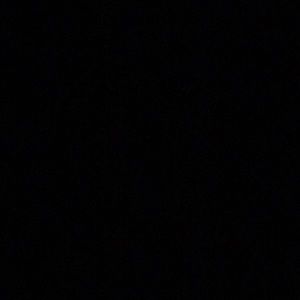 Meet your Posher, Wyatt